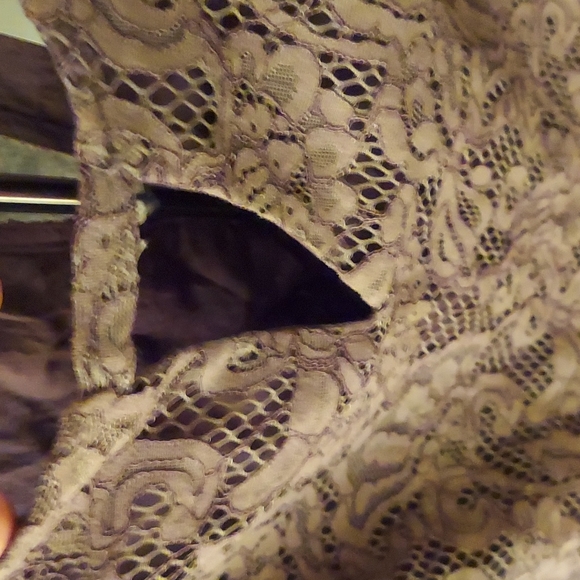 ! Wishlist lace dress, lined, frayed edge,  medium NWT  , mocha - Picture 4 of 11